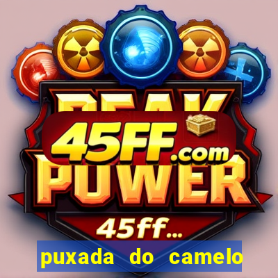puxada do camelo jogo do bicho